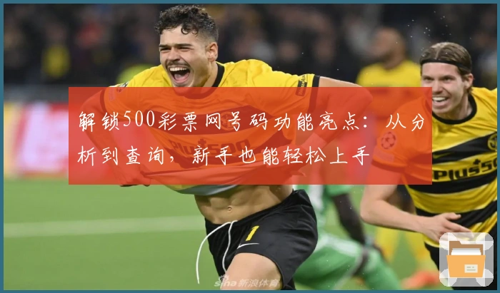 解锁500彩票网号码功能亮点：从分析到查询，新手也能轻松上手