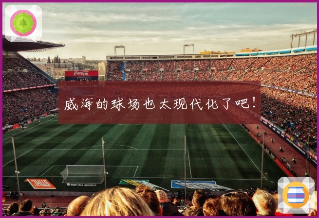 威海的球场也太现代化了吧！