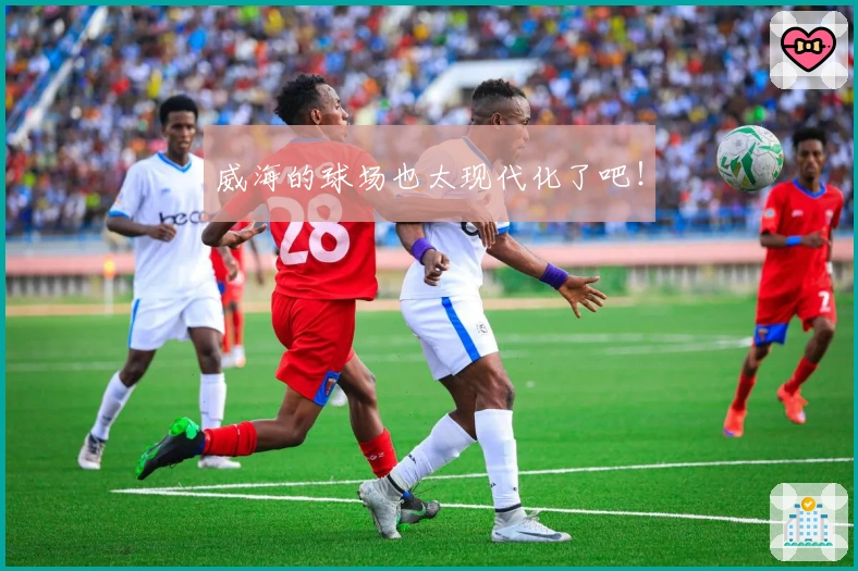 威海的球场也太现代化了吧！