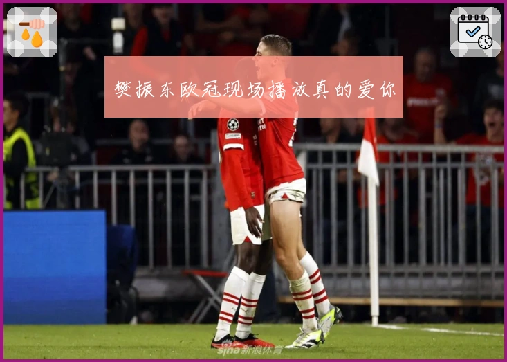 樊振东欧冠现场播放真的爱你