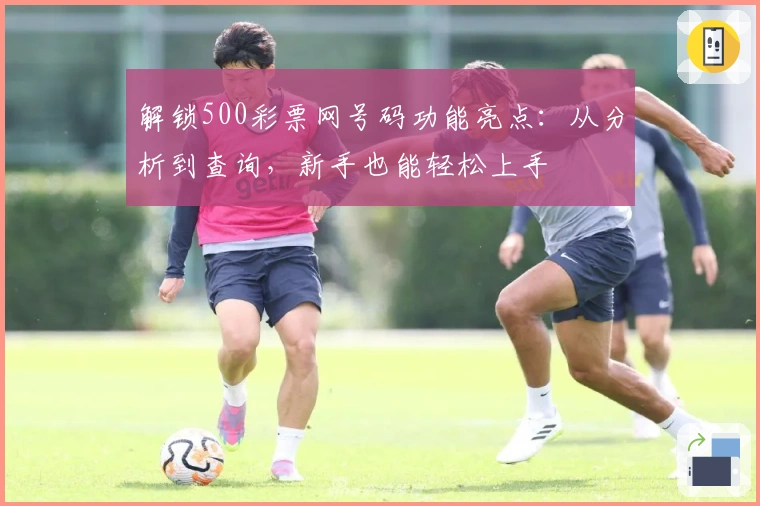 解锁500彩票网号码功能亮点：从分析到查询，新手也能轻松上手